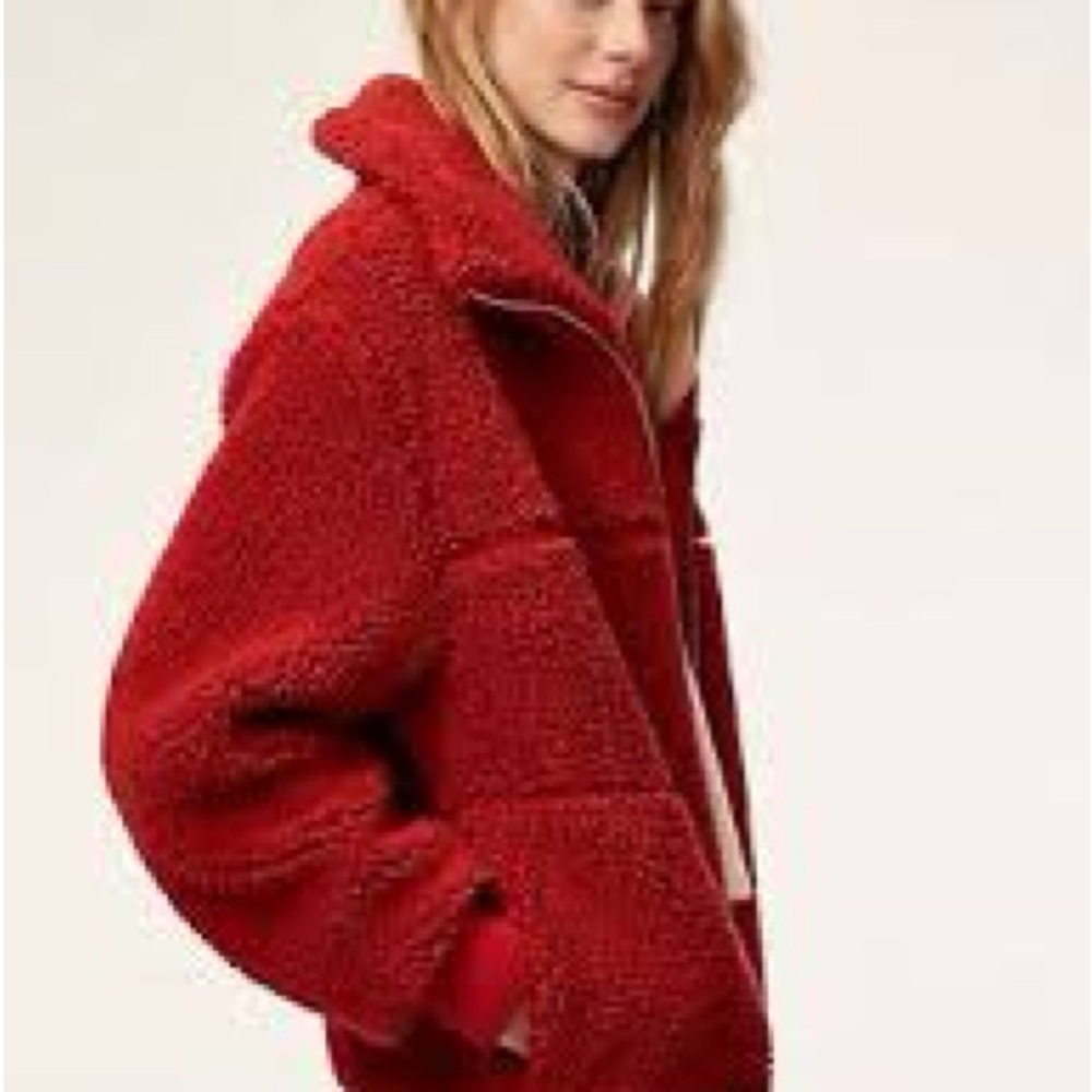 Aritzia Wilfred free the teddy jacket